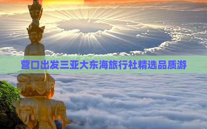 营口出发三亚大东海旅行社精选品质游