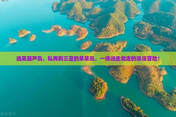 逃离葫芦岛，私奔到三亚的呆呆岛，一场说走就走的浪漫冒险！