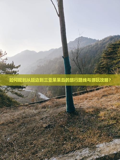 如何规划从延边到三亚呆呆岛的旅行路线与游玩攻略？