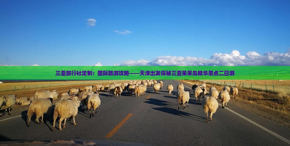 三亚旅行社定制：国际旅游攻略——天津出发探秘三亚呆呆岛精华景点二日游
