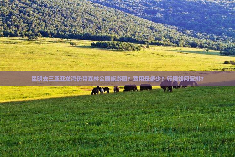 昆明去三亚亚龙湾热带森林公园旅游团？费用是多少？行程如何安排？