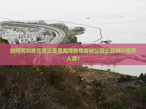 如何规划枣庄至三亚亚龙湾热带森林公园三日游以避开人潮？