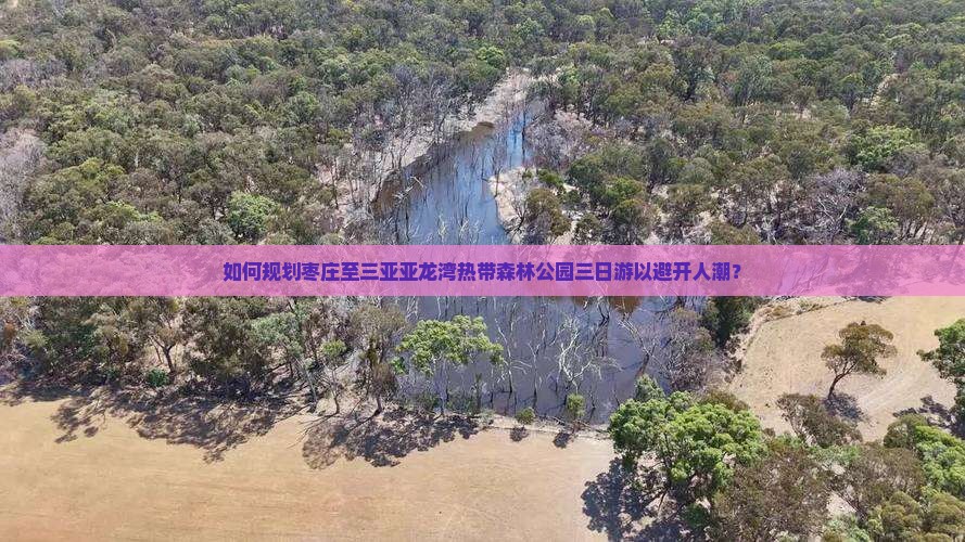 如何规划枣庄至三亚亚龙湾热带森林公园三日游以避开人潮？