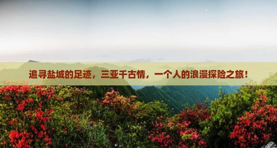 追寻盐城的足迹，三亚千古情，一个人的浪漫探险之旅！