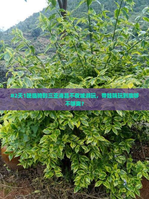 #2天1晚临猗到三亚海昌不夜城游玩，带娃嗨玩到底够不够爽？