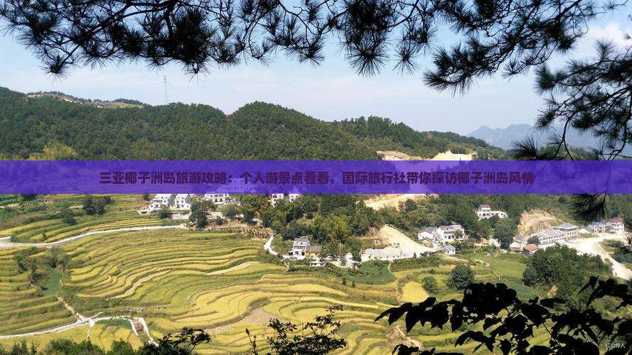 三亚椰子洲岛旅游攻略：个人游景点看看，国际旅行社带你探访椰子洲岛风情