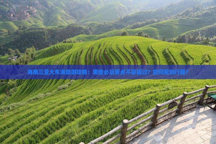 海南三亚大东海旅游攻略：哪些必玩景点不容错过？如何规划行程？