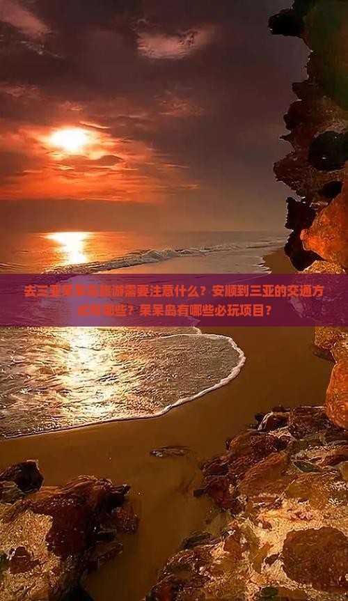 去三亚呆呆岛旅游需要注意什么？安顺到三亚的交通方式有哪些？呆呆岛有哪些必玩项目？