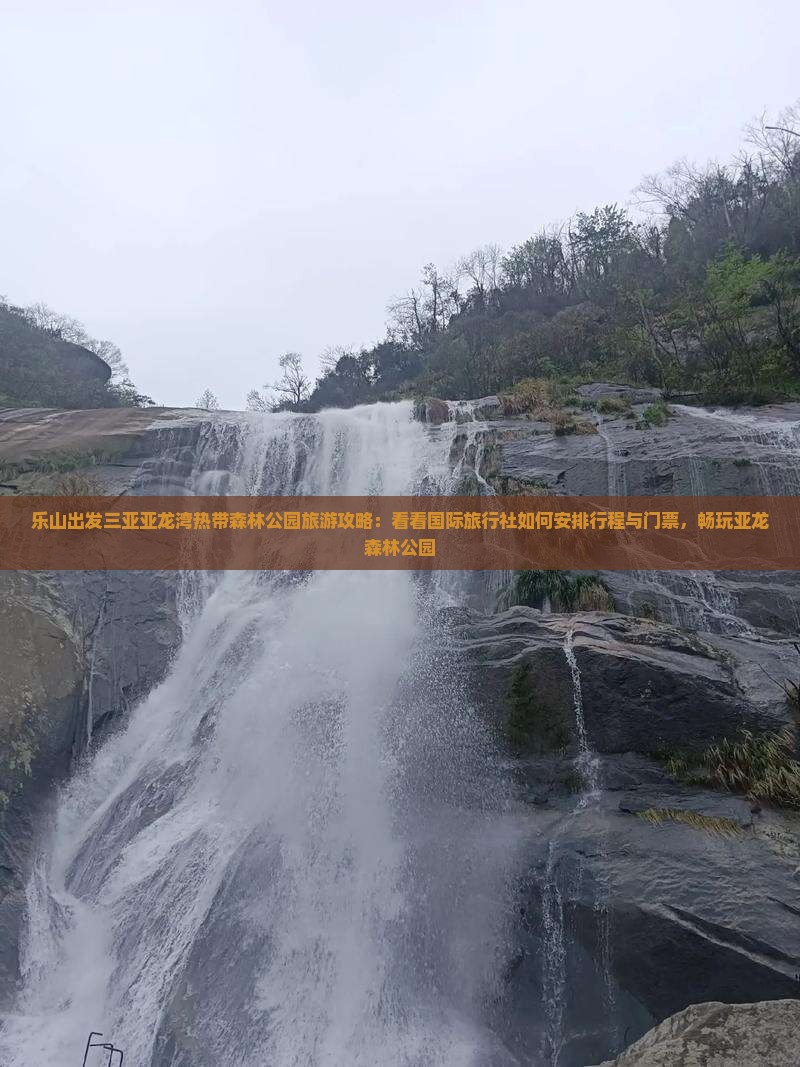 乐山出发三亚亚龙湾热带森林公园旅游攻略：看看国际旅行社如何安排行程与门票，畅玩亚龙森林公园
