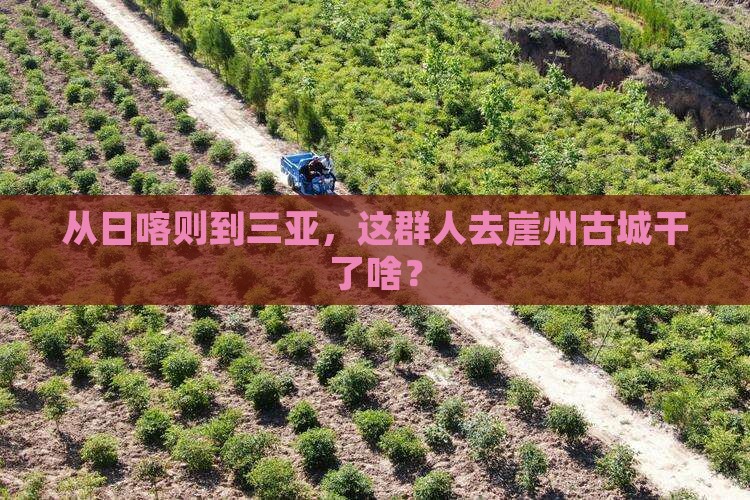 从日喀则到三亚，这群人去崖州古城干了啥？