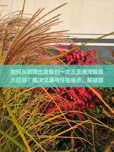 如何从铜陵出发策划一次三亚南湾猴岛六日游？解决交通与住宿痛点，解锁旅行新体验！