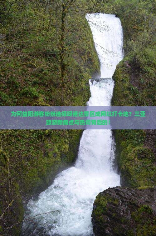 为何益阳游客纷纷选择呀诺达景区成网红打卡地？三亚旅游新痛点与热词背后的！