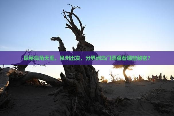 探秘海角天涯，泉州出发，分界洲岛门票藏着哪些秘密？