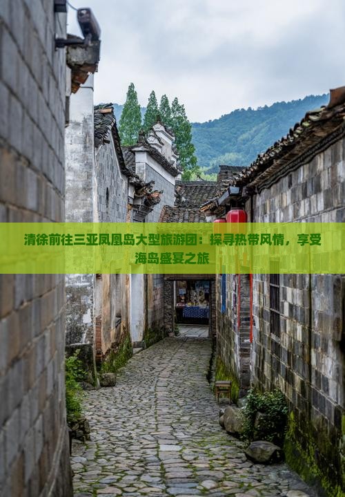 清徐前往三亚凤凰岛大型旅游团：探寻热带风情，享受海岛盛宴之旅