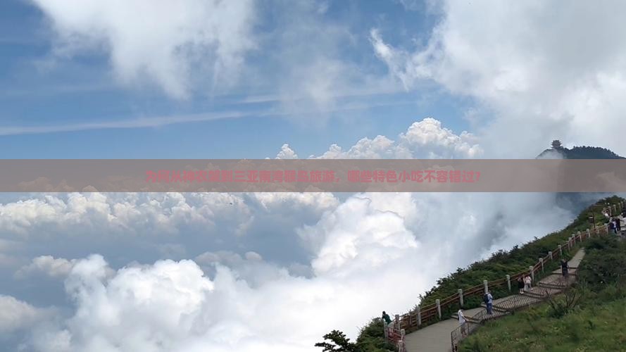 为何从神农架到三亚南湾猴岛旅游，哪些特色小吃不容错过？