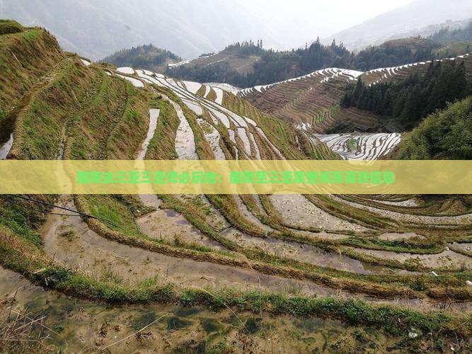 醴陵去三亚三亚湾必玩地：醴陵至三亚票查询及高铁信息