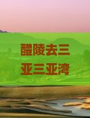 醴陵去三亚三亚湾必玩地：醴陵至三亚票查询及高铁信息