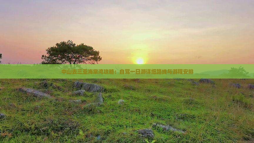 中山去三亚海棠湾攻略：自驾一日游详细路线与游程安排