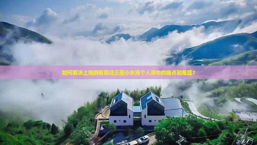 如何解决上饶游客前往三亚小东海个人游中的痛点和难题？