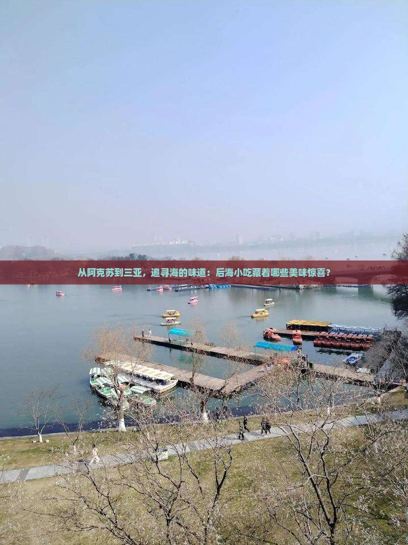 从阿克苏到三亚，追寻海的味道：后海小吃藏着哪些美味惊喜？