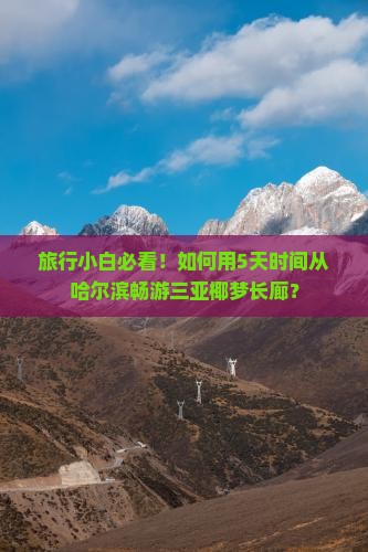 旅行小白必看！如何用5天时间从哈尔滨畅游三亚椰梦长廊？