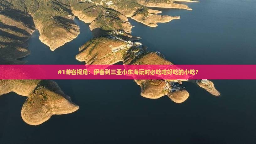 #1游客视角：伊春到三亚小东海玩时必吃啥好吃的小吃？
