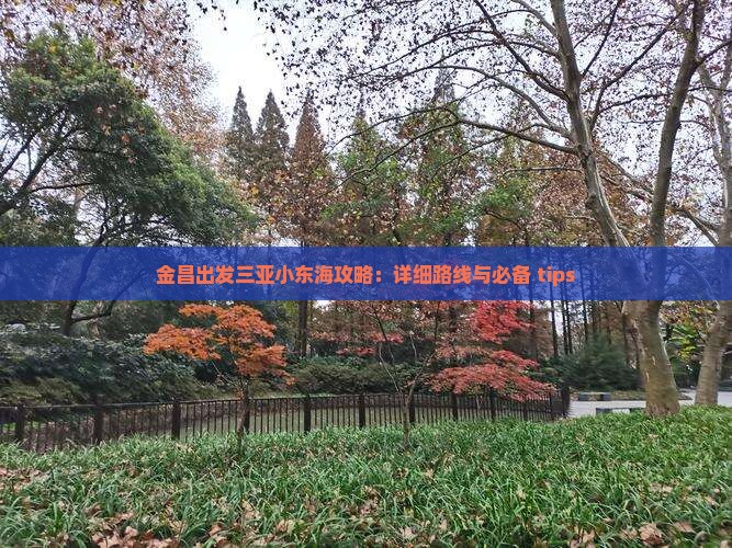 金昌出发三亚小东海攻略：详细路线与必备 tips