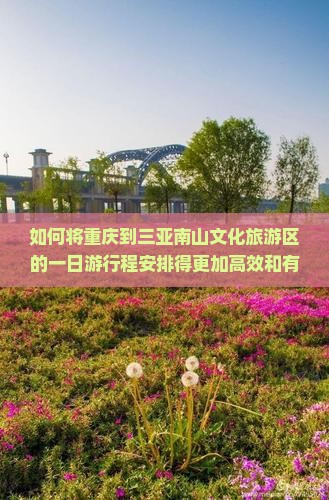 如何将重庆到三亚南山文化旅游区的一日游行程安排得更加高效和有趣？聚焦游客痛点，探索新玩法！