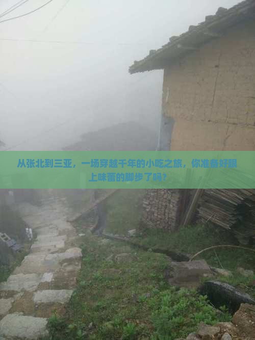 从张北到三亚，一场穿越千年的小吃之旅，你准备好跟上味蕾的脚步了吗？