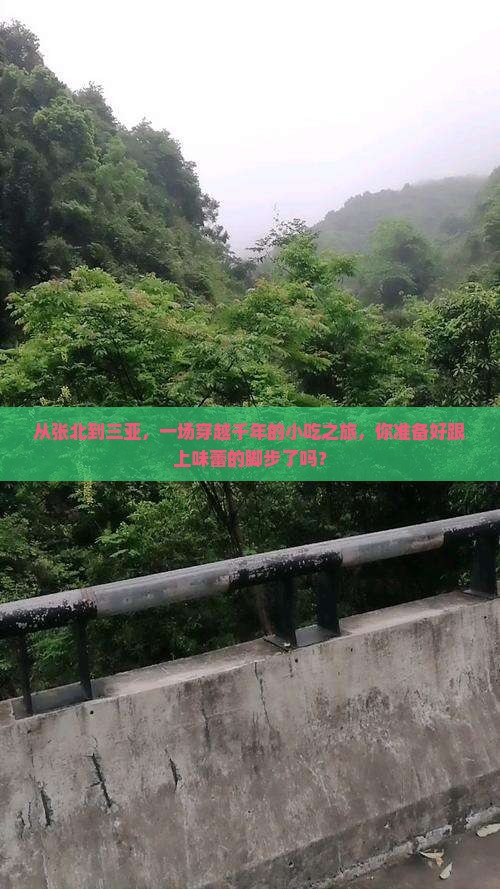 从张北到三亚，一场穿越千年的小吃之旅，你准备好跟上味蕾的脚步了吗？