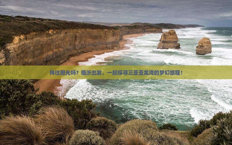 向往阳光吗？临沂出发，一起探寻三亚亚龙湾的梦幻旅程！