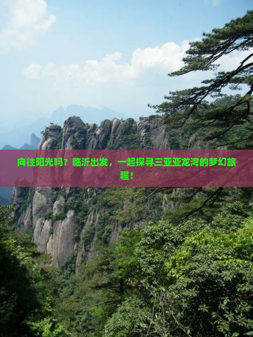 向往阳光吗？临沂出发，一起探寻三亚亚龙湾的梦幻旅程！