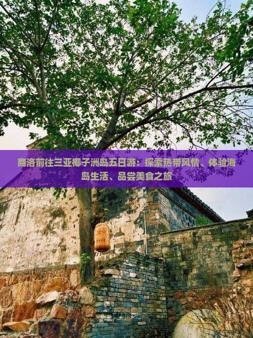 商洛前往三亚椰子洲岛五日游：探索热带风情、体验海岛生活、品尝美食之旅