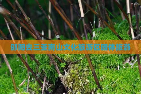 邵阳去三亚南山文化旅游区团体旅游