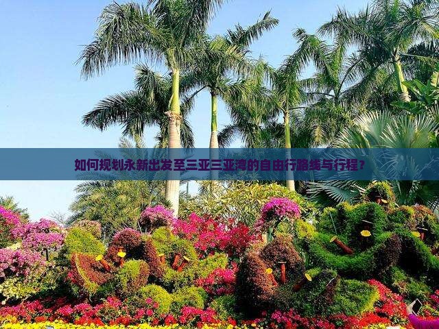 如何规划永新出发至三亚三亚湾的自由行路线与行程？