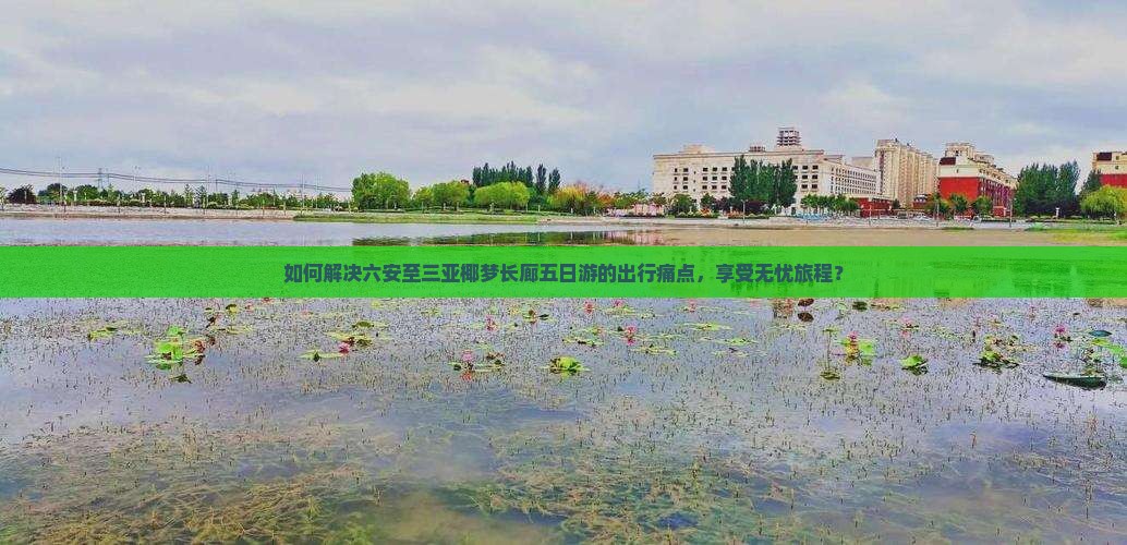 如何解决六安至三亚椰梦长廊五日游的出行痛点，享受无忧旅程？