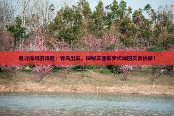 追寻海风的味道：青岛出发，探秘三亚椰梦长廊的美食诱惑！