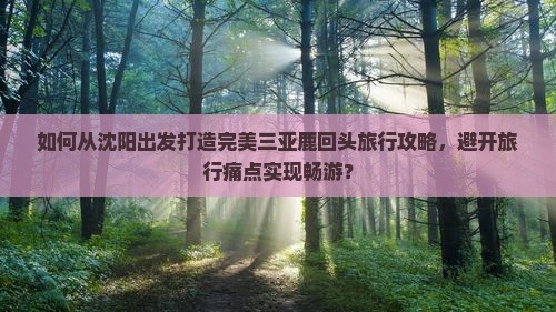 如何从沈阳出发打造完美三亚鹿回头旅行攻略，避开旅行痛点实现畅游？