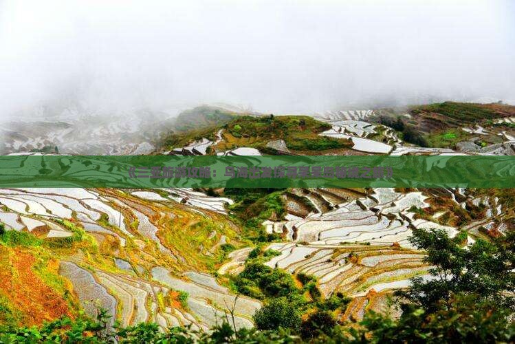 《三亚旅游攻略：乌海出发探寻呆呆岛秘境之旅》