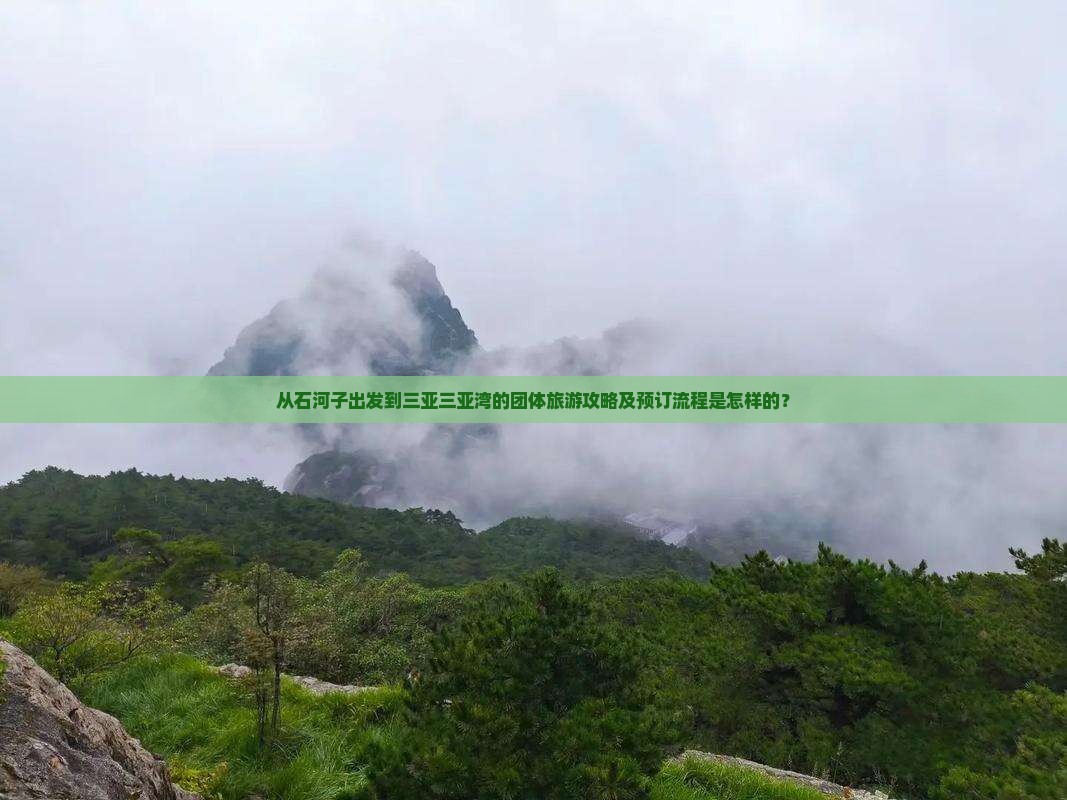 从石河子出发到三亚三亚湾的团体旅游攻略及预订流程是怎样的？