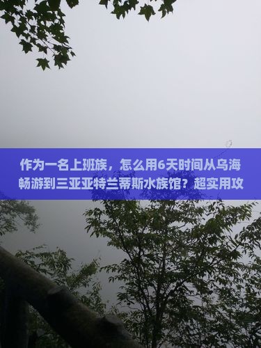 作为一名上班族，怎么用6天时间从乌海畅游到三亚亚特兰蒂斯水族馆？超实用攻略！