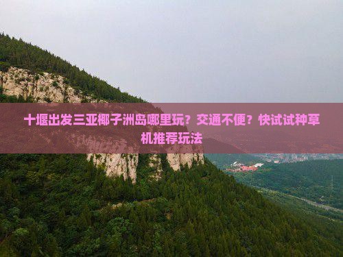 十堰出发三亚椰子洲岛哪里玩？交通不便？快试试种草机推荐玩法