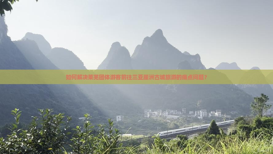 如何解决莱芜团体游客前往三亚崖洲古城旅游的痛点问题？