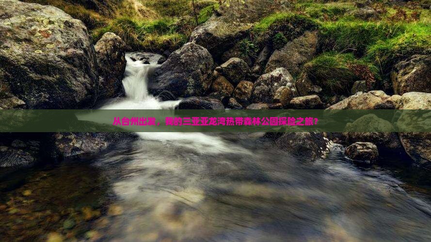 从台州出发，我的三亚亚龙湾热带森林公园探险之旅？