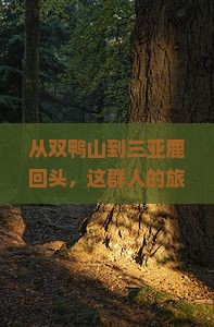 从双鸭山到三亚鹿回头，这群人的旅行故事有点暖！