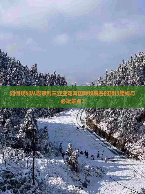 如何规划从思茅到三亚亚龙湾国际玫瑰谷的旅行路线与必玩景点？