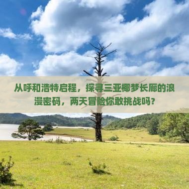 从呼和浩特启程，探寻三亚椰梦长廊的浪漫密码，两天冒险你敢挑战吗？