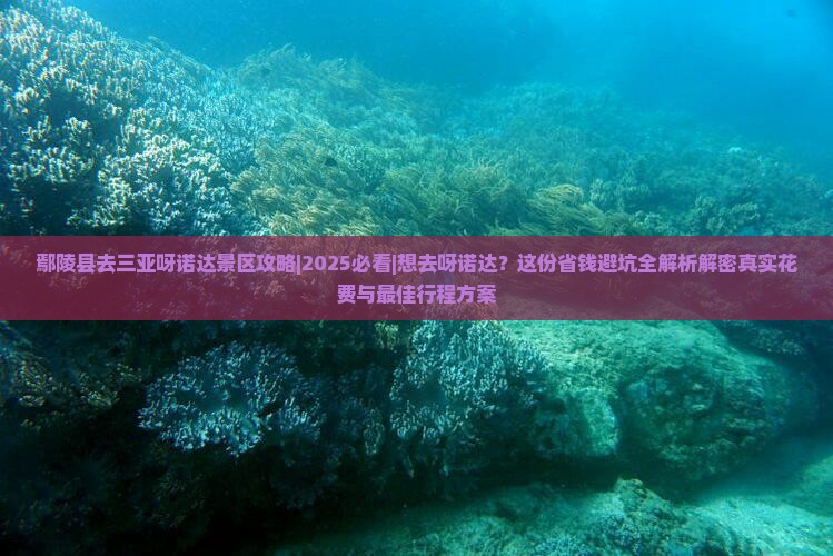 鄢陵县去三亚呀诺达景区攻略