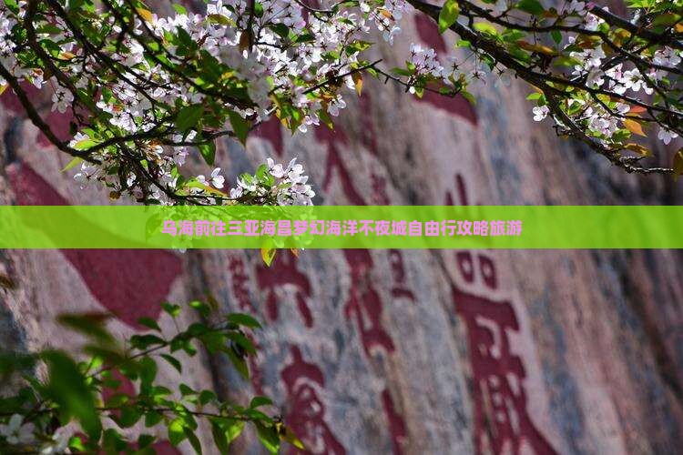 乌海前往三亚海昌梦幻海洋不夜城自由行