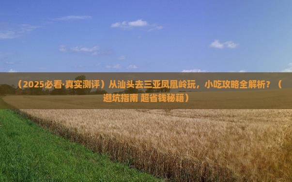 汕头去三亚凤凰岭公园旅游小吃